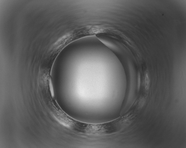 X0000085840329200703161357