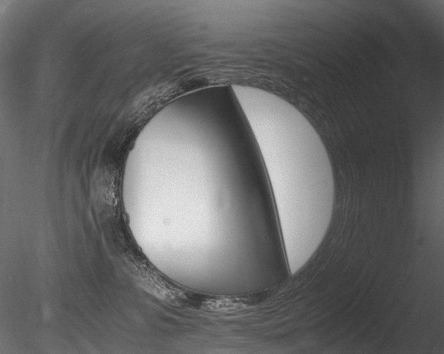 X0000085840331200703161357