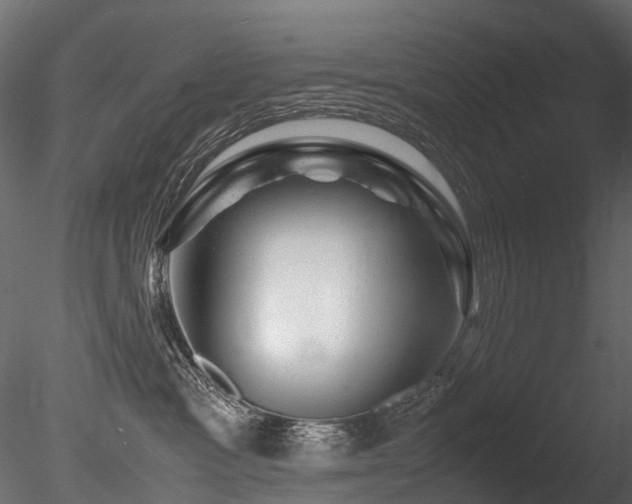 X0000085840333200703161357