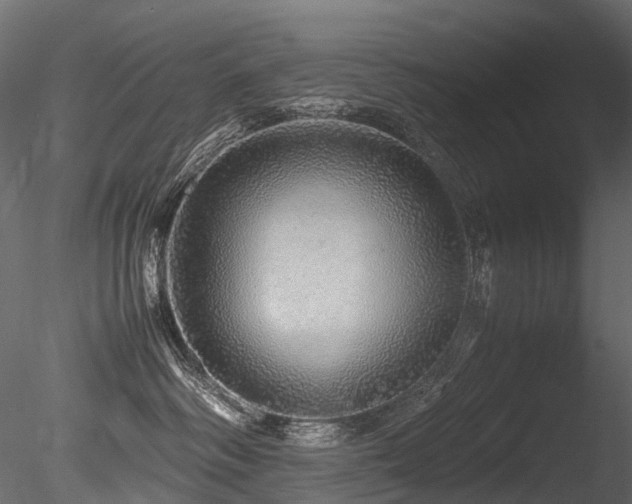 X0000085840334200703161357