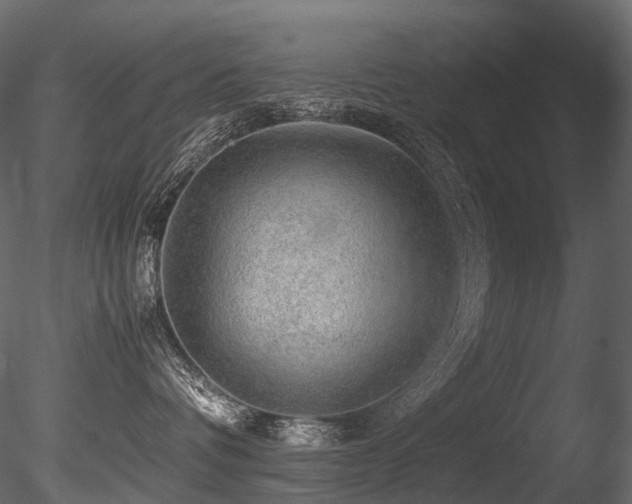 X0000085840336200703161357