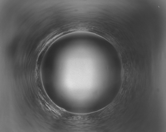 X0000085840338200703161356