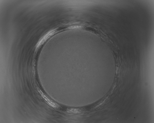X0000085840341200703161356