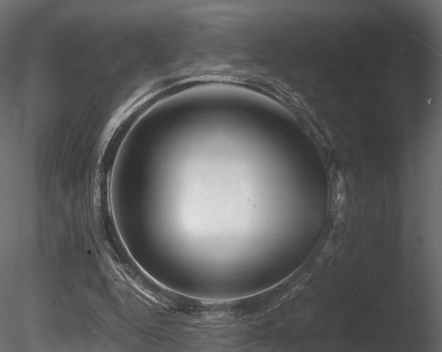 X0000085840344200703161356