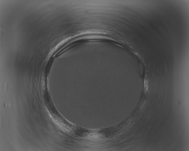 X0000085840348200703161357