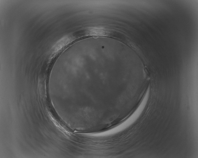 X0000085840349200703161357