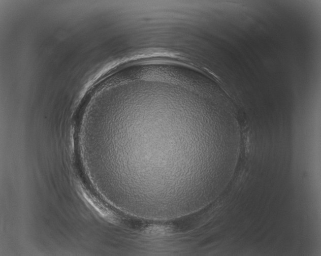 X0000085840350200703161357