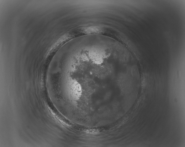 X0000085840353200703161357