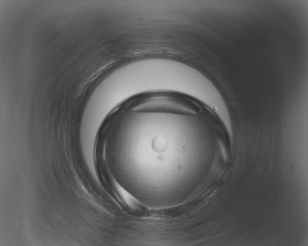 X0000085840356200703161357