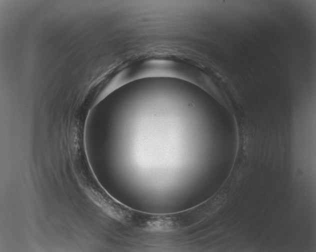 X0000085840362200703161357