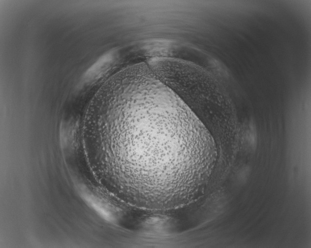 X0000085840364200703161357