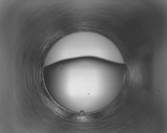 X0000085840365200703161357