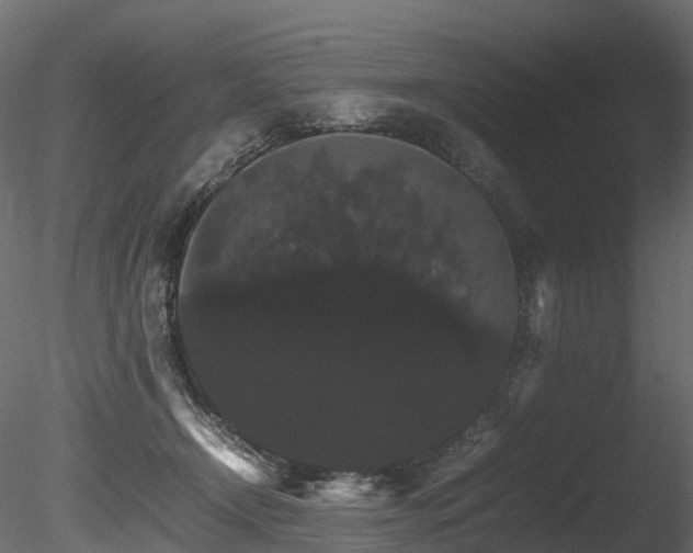 X0000085840366200703161357