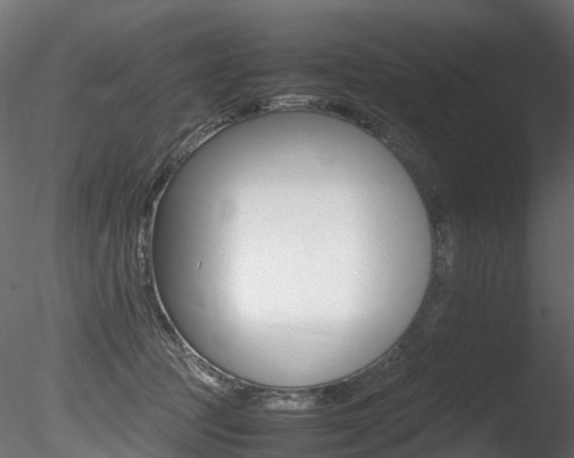 X0000085840369200703161357