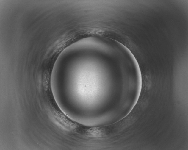X0000085840370200703161357
