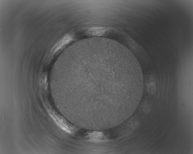 X0000085840374200703161357