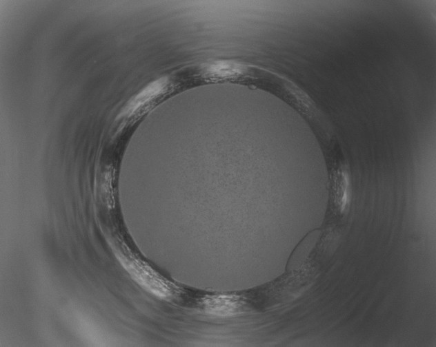 X0000085840378200703161357