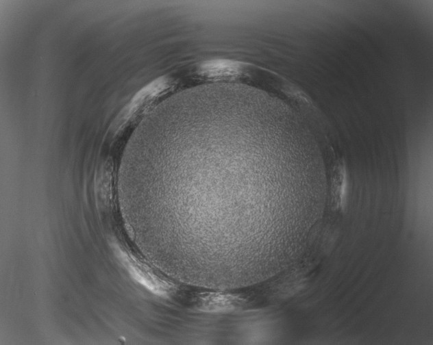 X0000085840379200703161357
