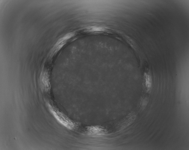 X0000085840380200703161357