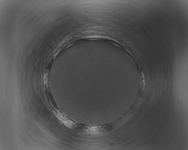 X0000085840382200703161357
