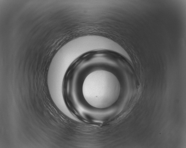 X0000085840384200703161357