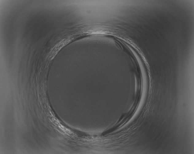 X0000085840385200703161356