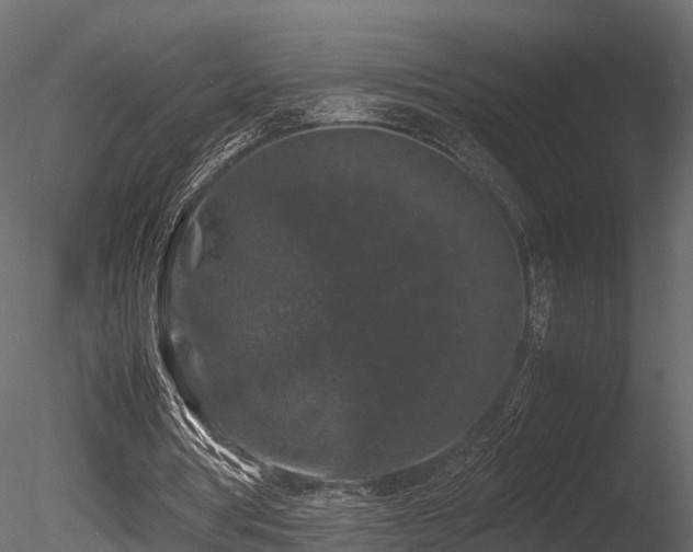 X0000085840386200703161356