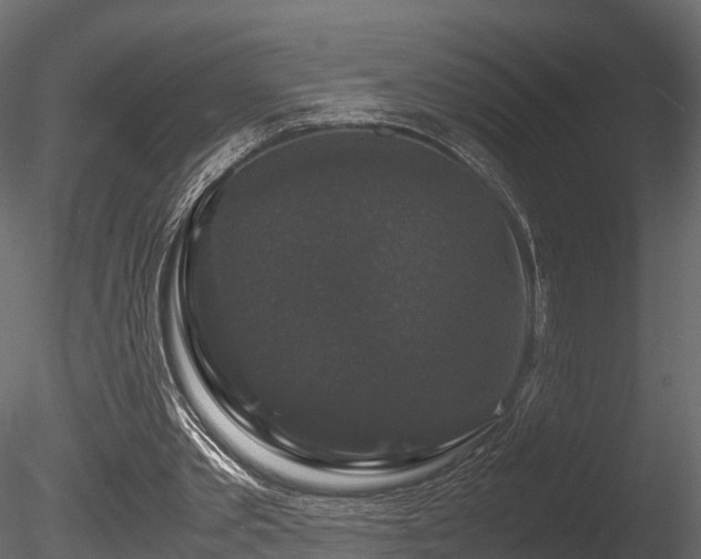 X0000085840389200703161356