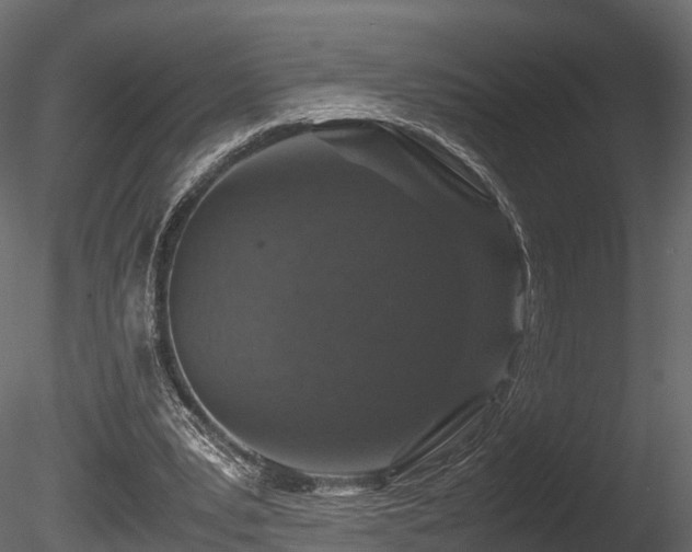 X0000085840391200703161356