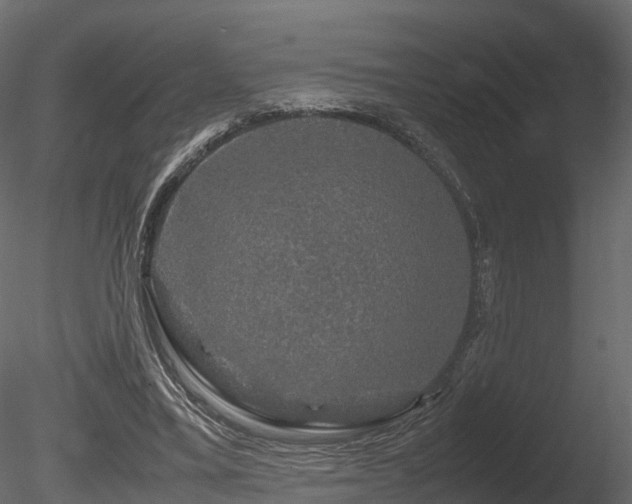 X0000085840395200703161356