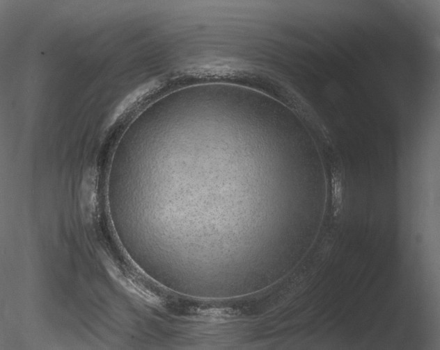X0000085840396200703161356