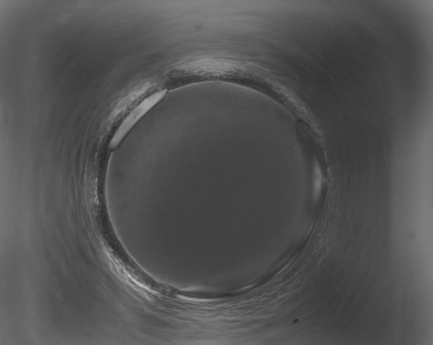X0000085840399200703161356