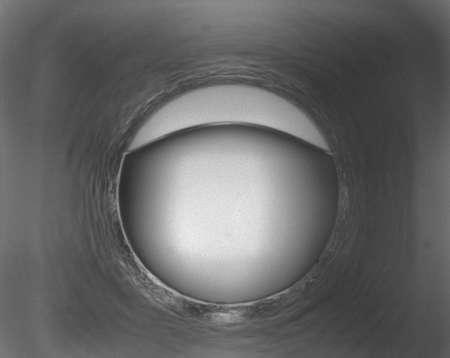 X0000085840411200703161356