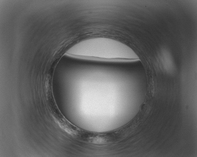 X0000085840412200703161356