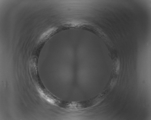 X0000085840415200703161356