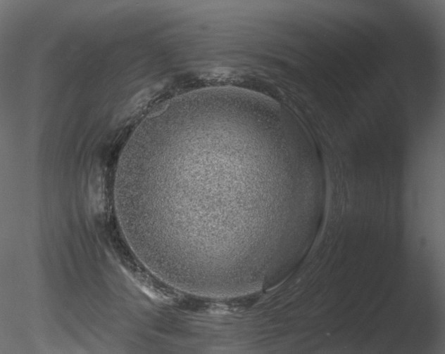 X0000085840416200703161356