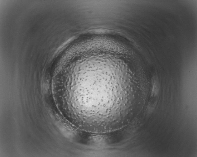 X0000085840417200703161356
