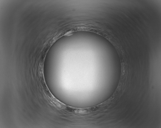 X0000085840419200703161356