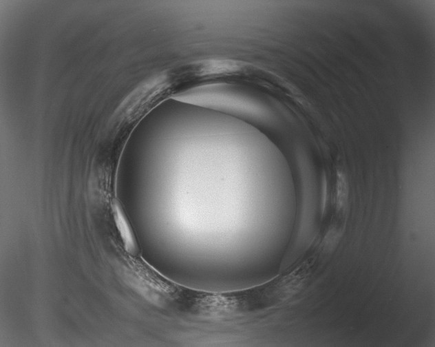 X0000085840421200703161356