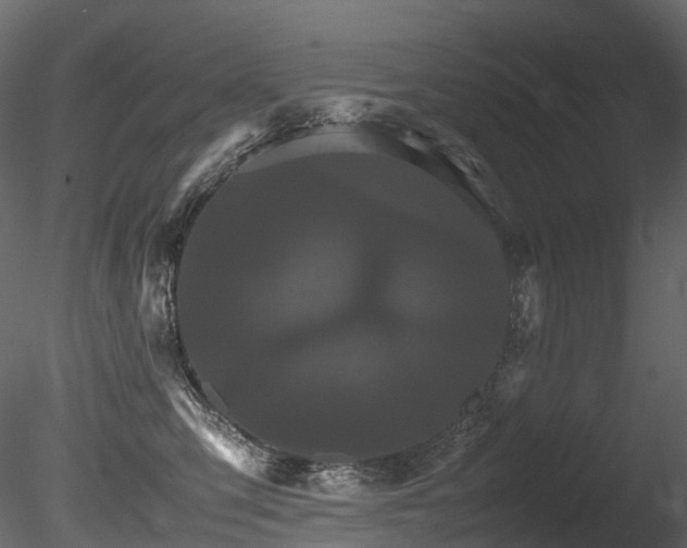 X0000085840423200703161356