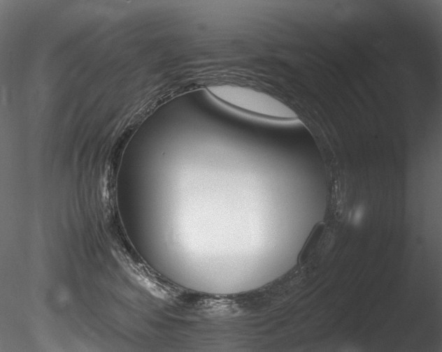 X0000085840424200703161356