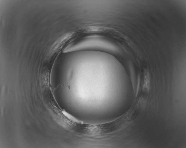 X0000085840425200703161356