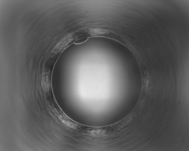X0000085840426200703161356
