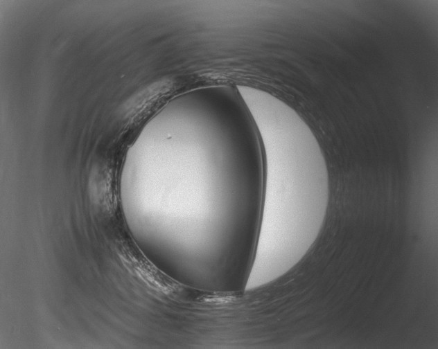 X0000085840428200703161356