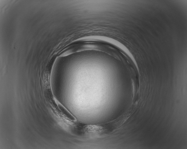 X0000085840429200703161356