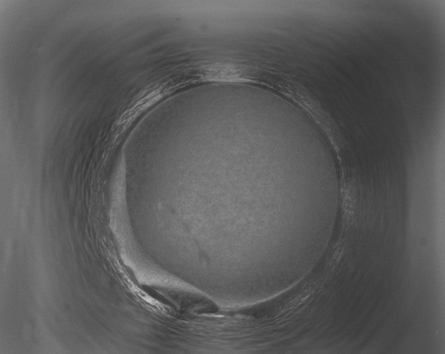 X0000085840433200703161355