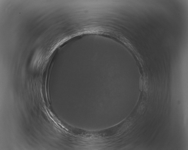 X0000085840434200703161355