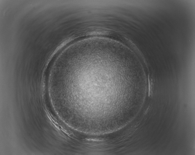 X0000085840435200703161355
