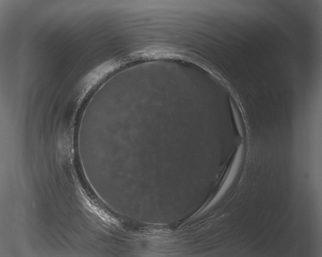 X0000085840438200703161355