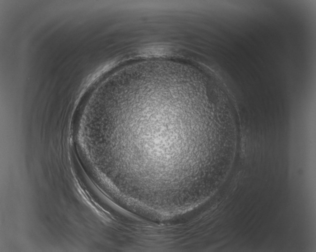 X0000085840439200703161355